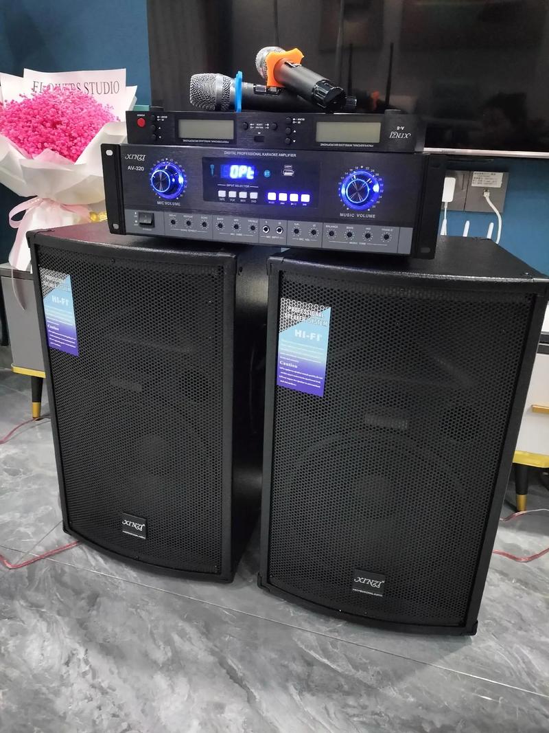 12寸音響套裝選購指南 從家用K歌到專業(yè)舞臺的音響器材全解析